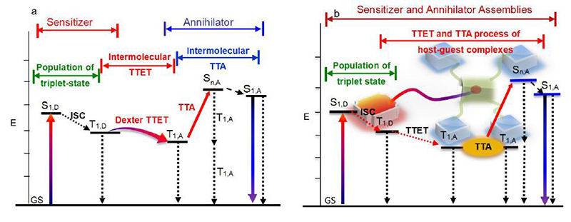 intermolecular force图片