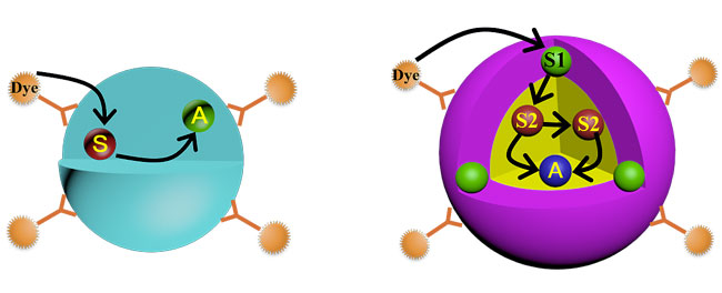 核和核壳结构中染料敏化上转换过程示意图(dye:有机染料;s:敏化剂;a