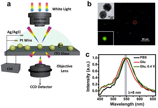 金纳米粒子局域表面等离子体共振lspr效应增强电催化性能