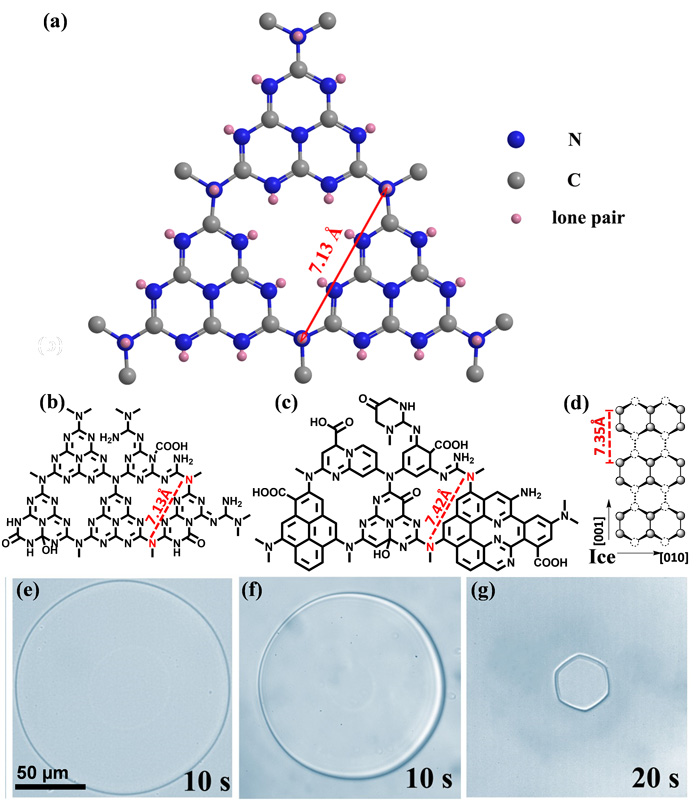 化氮化碳(b)氧化氮化碳量子点(c)氧化类氮化碳量子点面内结构示意图