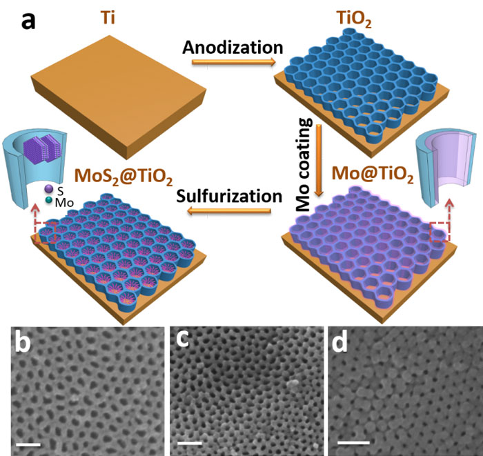 硫化钼氧化钛多孔有序阵列在利用太阳光分解水制氢中的应用