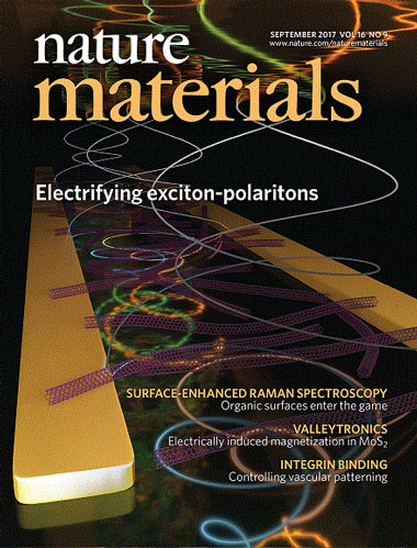 12期封面带你回顾naturematerials的2017