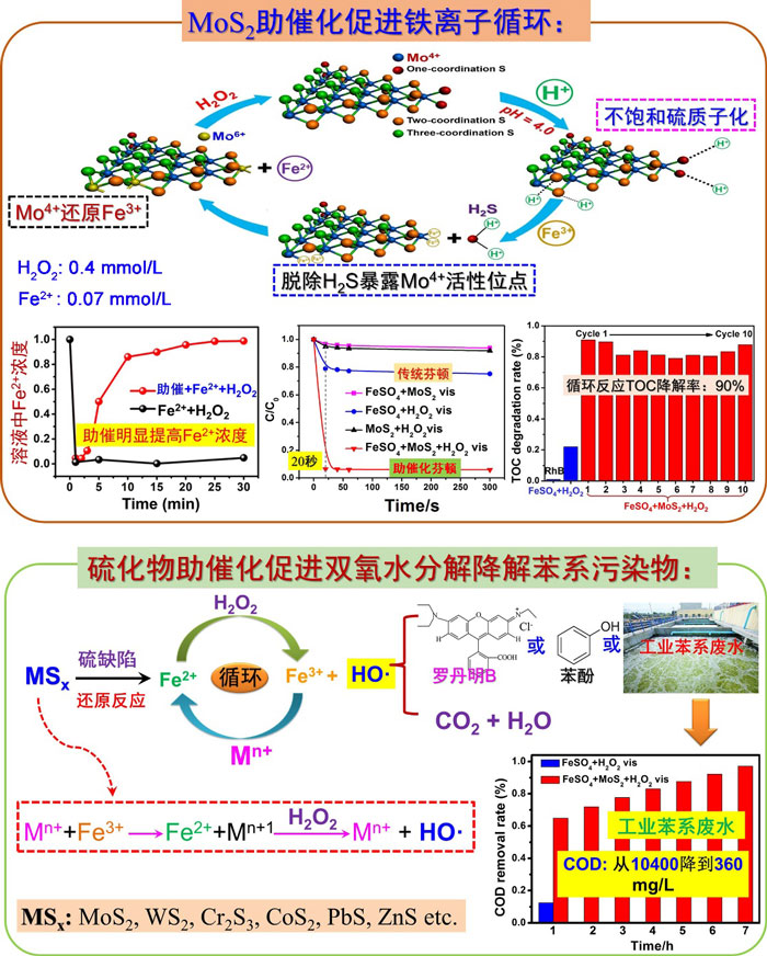 教授(点击查看介绍)研究团队与美国加州大学河滨分校的殷亚东(yadong