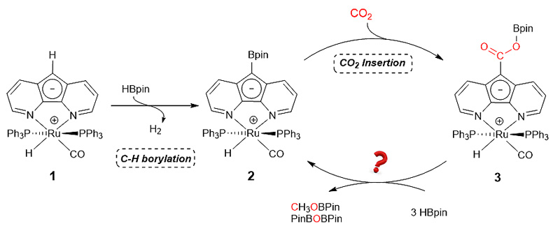 二氧化碳固定二氧化碳硼氢化反应的分子间氢负离子梭催化机理