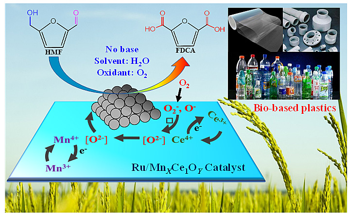 圖1. ru/mn xce o y 催化劑上hmf選擇氧化製備fdca的示意圖