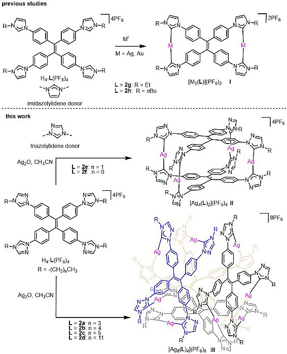 西北大学Angew. Chem.：利用配体微调控策略构建不同金属氮杂环卡宾组装 