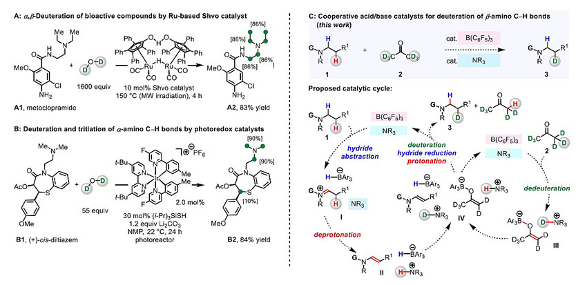 jacs酸碱系统助力药物分子β氨基ch键氘代