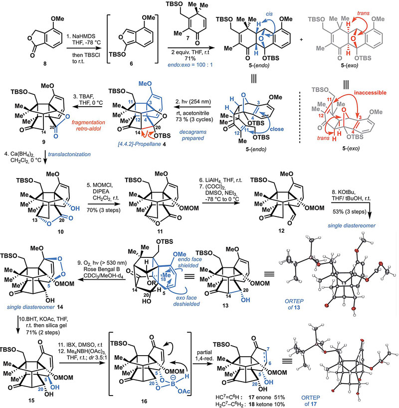 science结构超复杂紫杉烷二萜的全合成