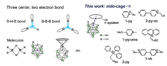 新型非共价键:cage…π 相互作用