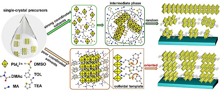 单晶前驱体的溶剂工程用于二维钙钛矿的相调控