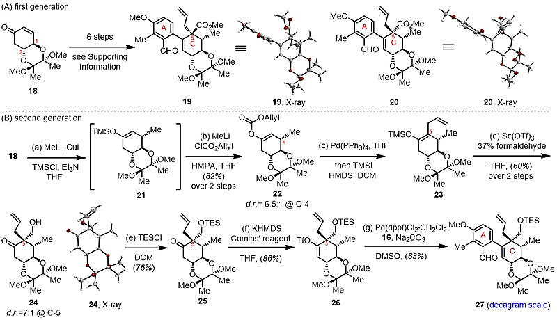 华东师范大学高栓虎课题组：Cephanolide A的首次不对称全合成- X-MOL资讯