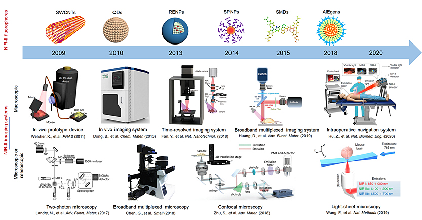 jacs:近红外ii区荧光影像技术及其生物医学应用展望